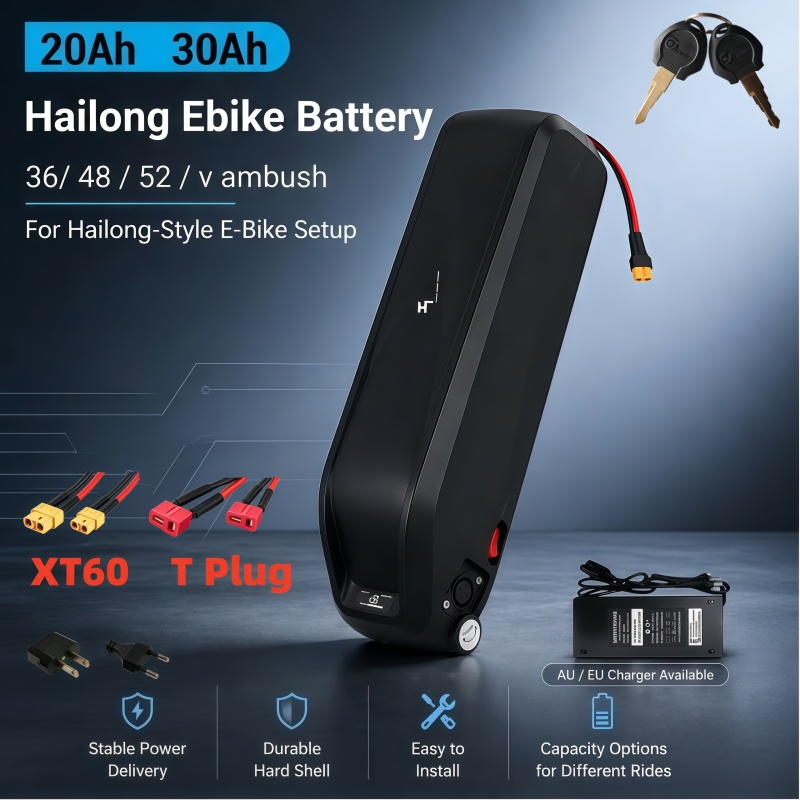 Versatile Hailong Battery, Mul - Ebike Battery 48V 20Ah Hailong 评论和价格