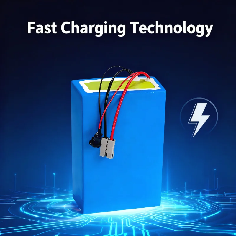 BMS 72V Lithium-Ion Battery Pa - Electric Bicycle Battery 72V 30Ah 评论和价格