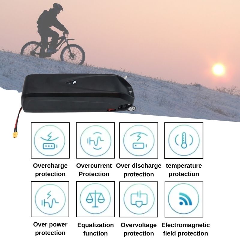 Electric Bicycle Battery Hailo - Ebike Battery 48V 20Ah Hailong 评论和价格
