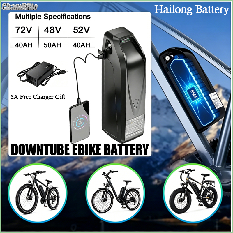 Electric Bike Battery Hailong  - Ebike Battery 48V 20Ah Hailong 评论和价格